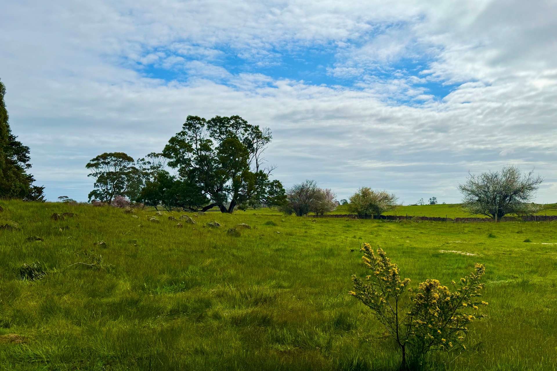 2621 Princes Highway, Pomborneit For Sale by Farmbuy.com - image 4