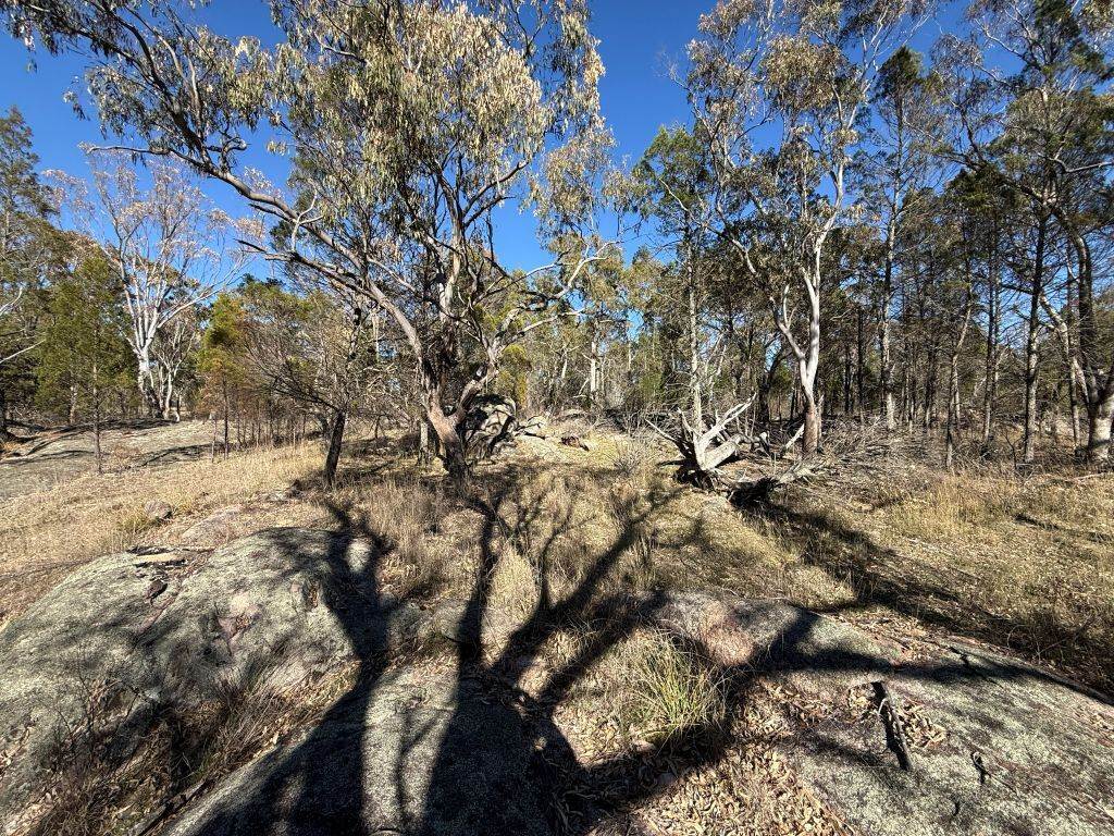 Lot 444 Elks Lane, Broadwater For Sale by Farmbuy.com - image 8