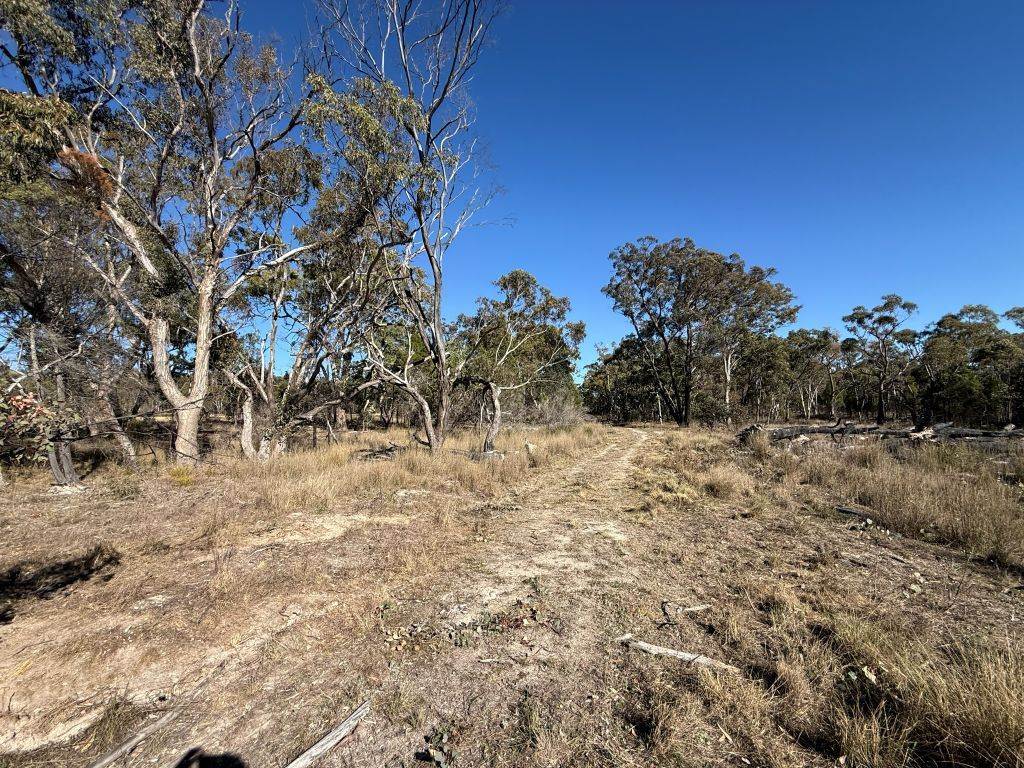 Lot 444 Elks Lane, Broadwater For Sale by Farmbuy.com - image 11