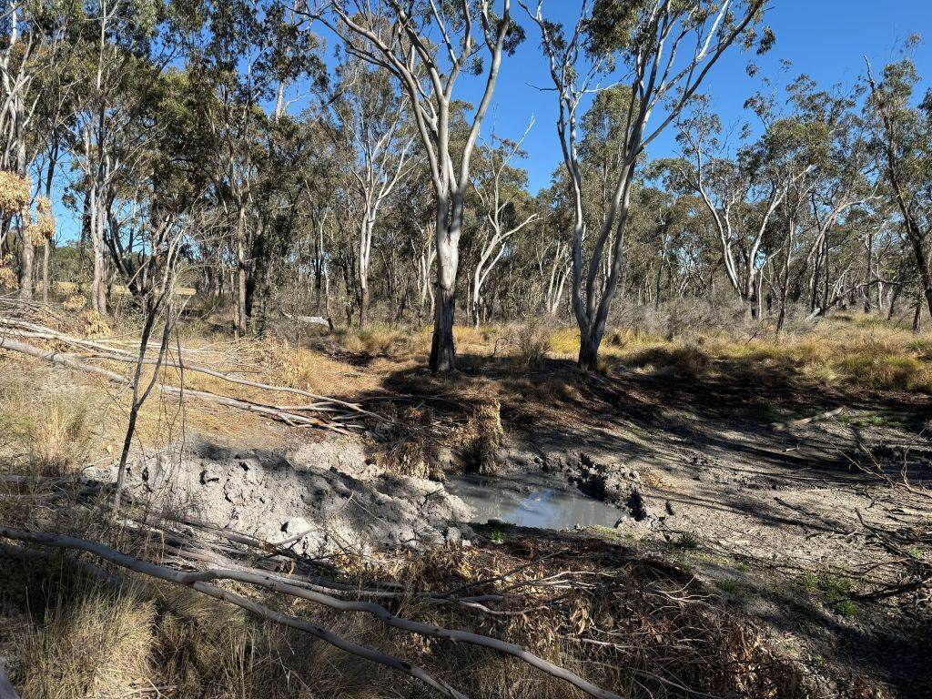 Lot 444 Elks Lane, Broadwater For Sale by Farmbuy.com - image 14