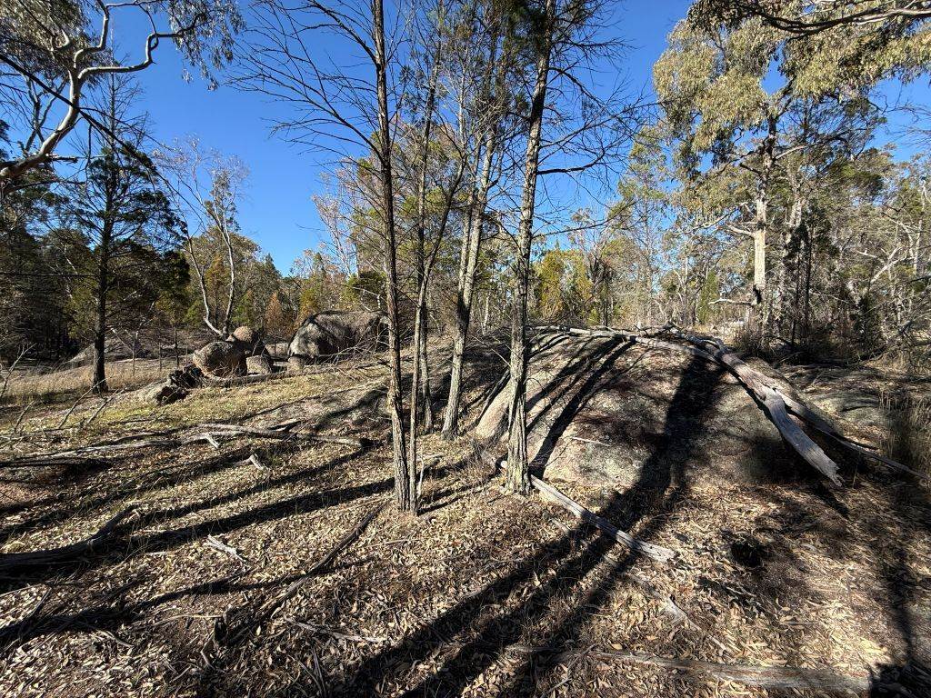 Lot 444 Elks Lane, Broadwater For Sale by Farmbuy.com - image 7