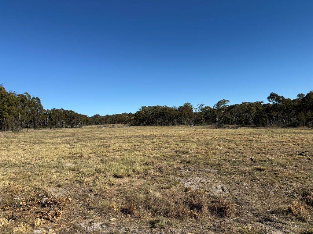 Lot 444 Elks Lane, Broadwater For Sale by Farmbuy.com - image 5