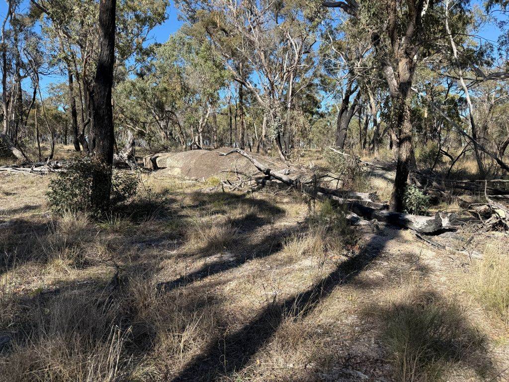 Lot 444 Elks Lane, Broadwater For Sale by Farmbuy.com - image 13