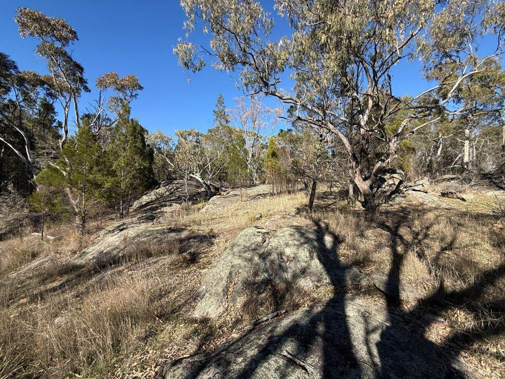 Lot 444 Elks Lane, Broadwater For Sale by Farmbuy.com - image 1