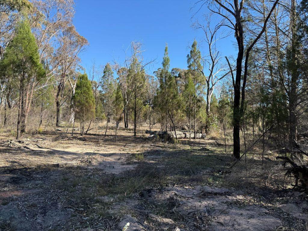 Lot 444 Elks Lane, Broadwater For Sale by Farmbuy.com - image 6