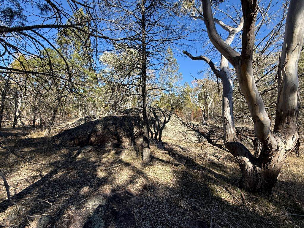 Lot 444 Elks Lane, Broadwater For Sale by Farmbuy.com - image 10