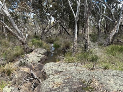 Lot 444 Elks Lane, Broadwater QLD 4380