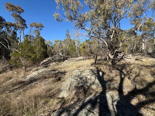 Farm For Sale - QLD - Broadwater - 4380 - 17 Hectares 10 minutes from Stanthorpe 
