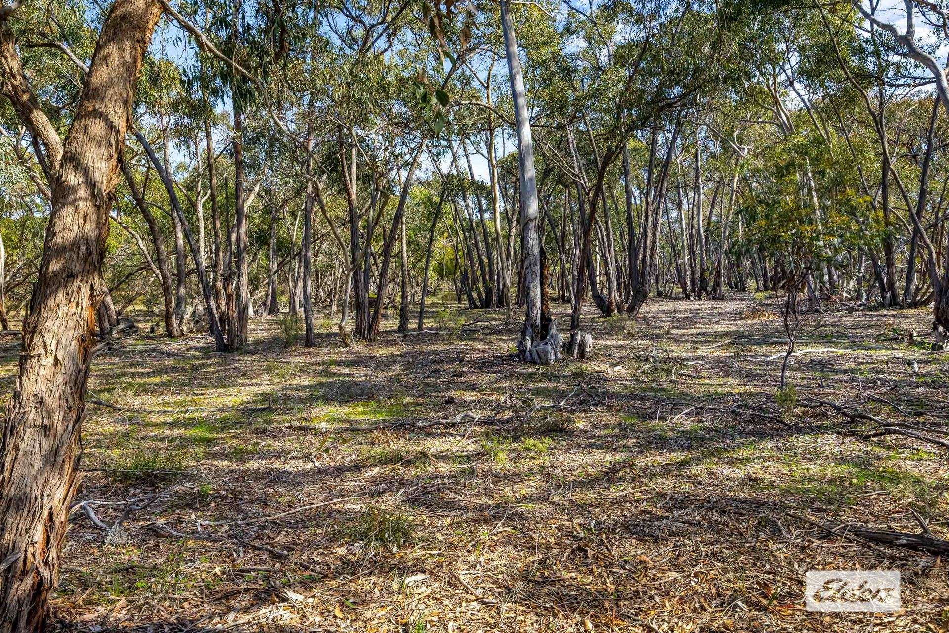 Lot 2 Hurst Road, Stawell For Sale by Farmbuy.com - image 8