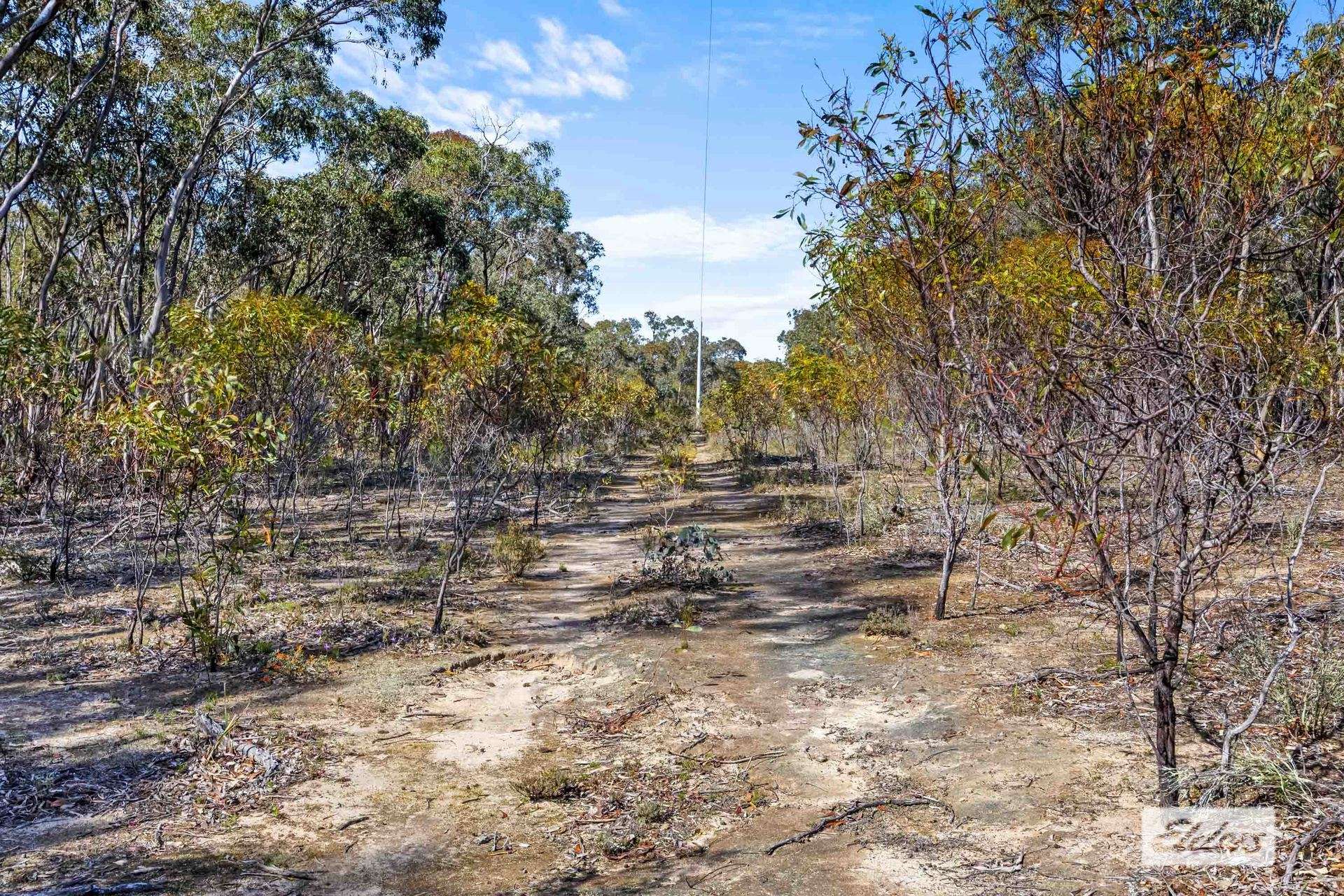 Lot 2 Hurst Road, Stawell For Sale by Farmbuy.com - image 4