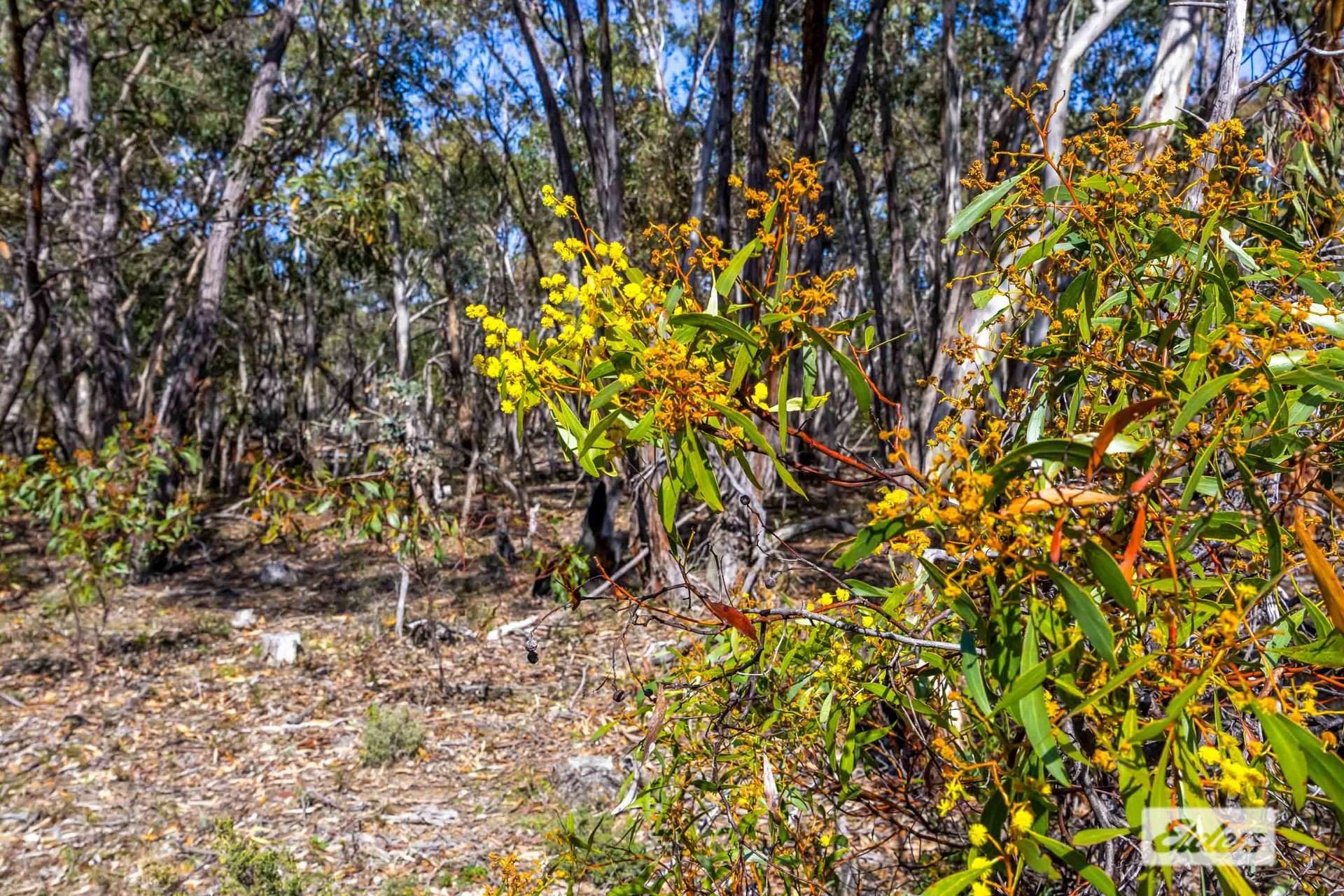 Lot 2 Hurst Road, Stawell For Sale by Farmbuy.com - image 5