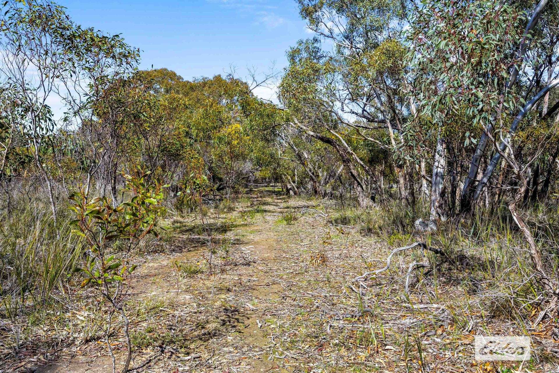 Lot 2 Hurst Road, Stawell For Sale by Farmbuy.com - image 9