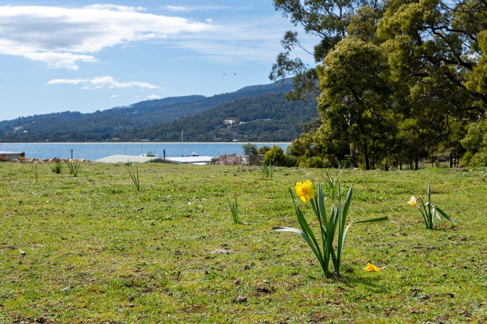 13 Noyes Road, White Beach For Sale by Farmbuy.com - image 2