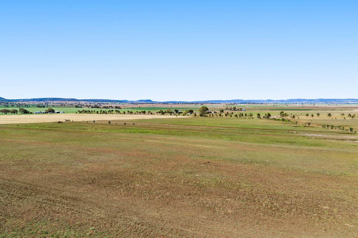 452 Doolan Road, Nobby For Sale by Farmbuy.com - image 26