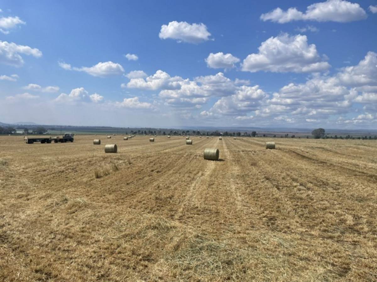 452 Doolan Road, Nobby For Sale by Farmbuy.com - image 29