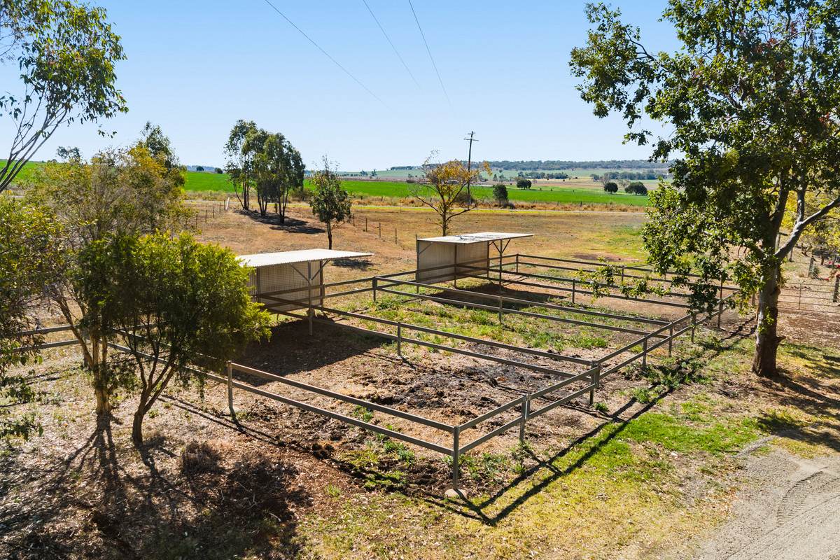 452 Doolan Road, Nobby For Sale by Farmbuy.com - image 19