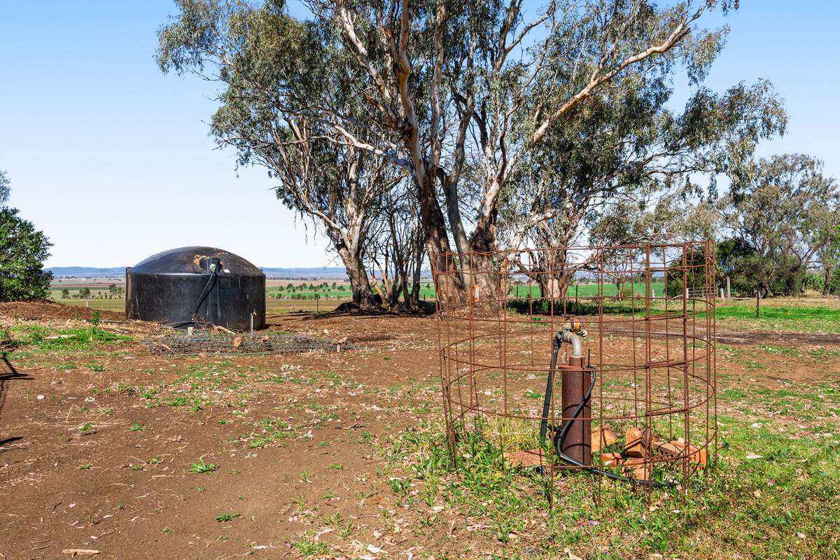 452 Doolan Road, Nobby For Sale by Farmbuy.com - image 23