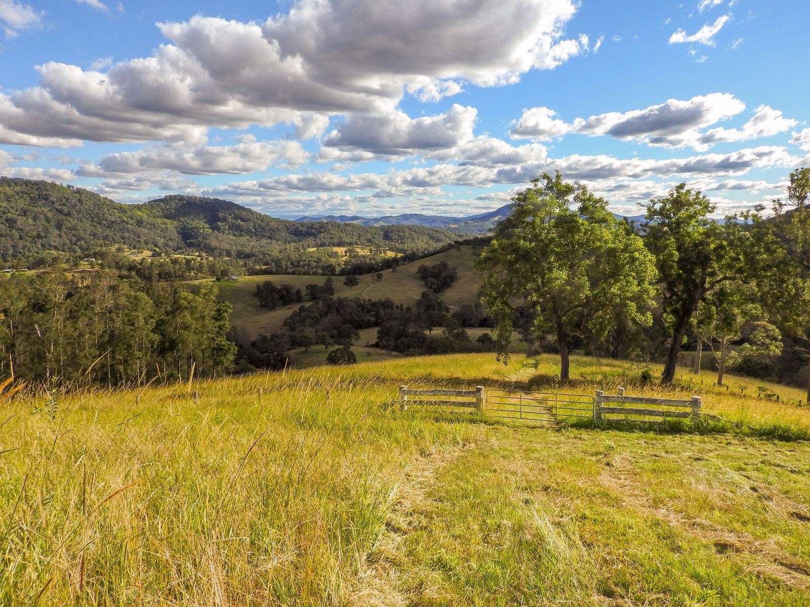 237 Norwood Lane, Mount George For Sale by Farmbuy.com - image 8