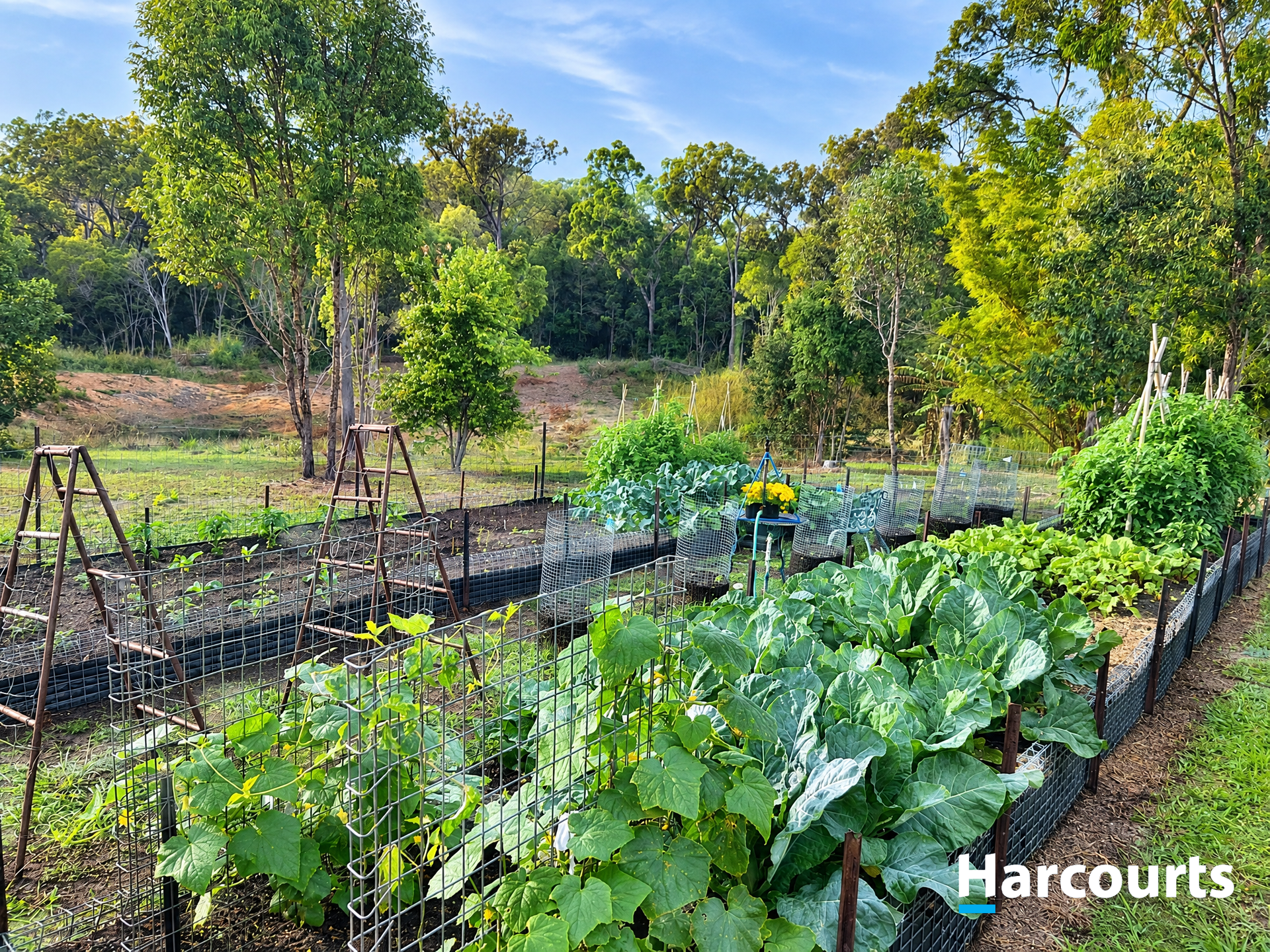 132 Rankin Road, Childers For Sale by Farmbuy.com - image 5