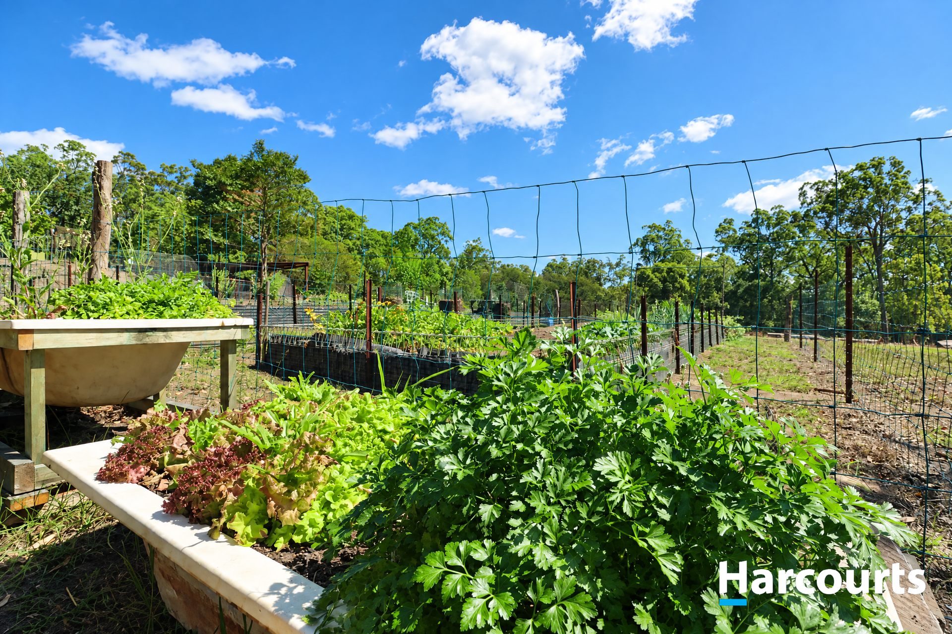 132 Rankin Road, Childers For Sale by Farmbuy.com - image 4