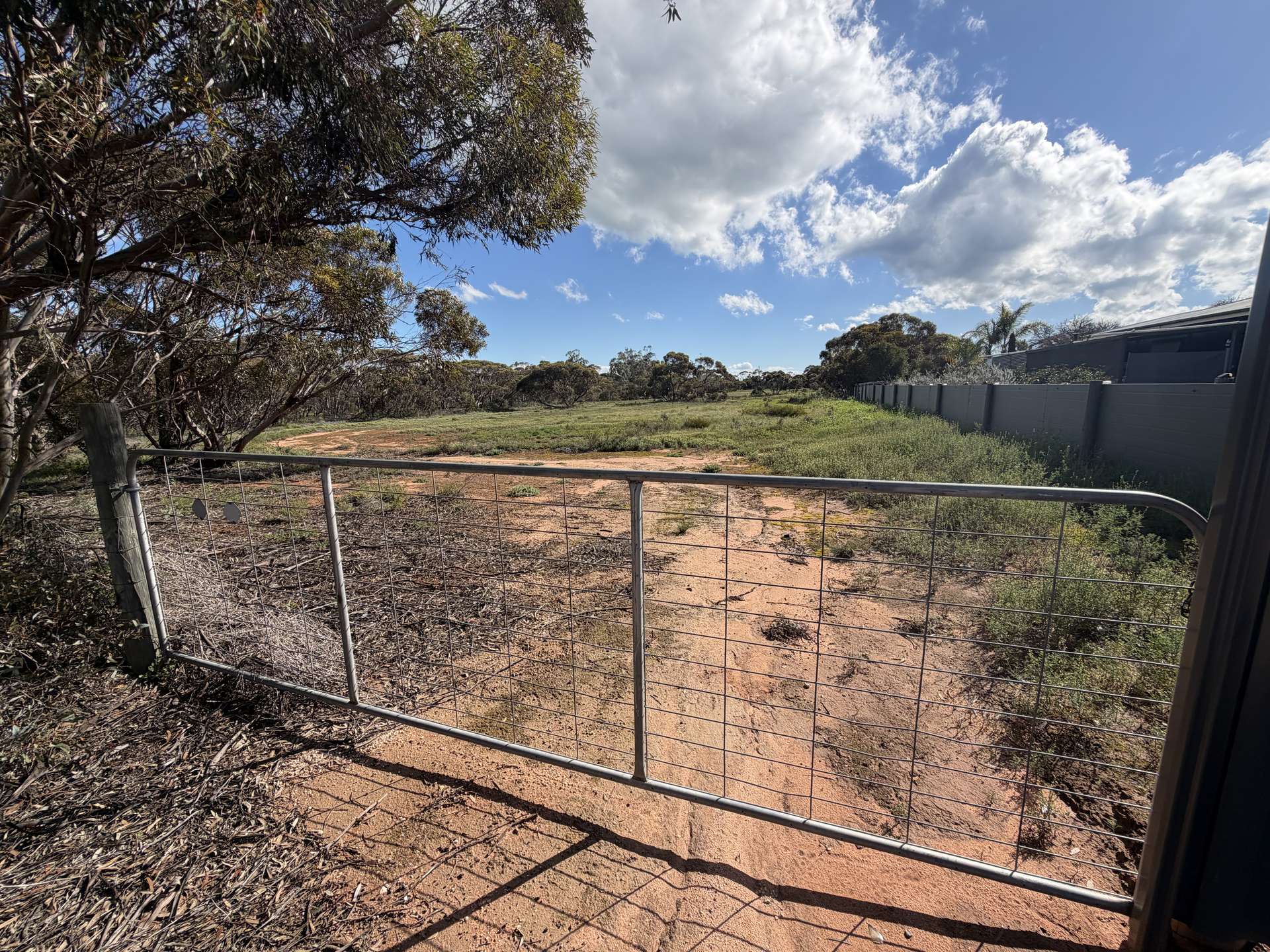 54 Sharrock Street, Murrayville For Sale by Farmbuy.com - image 4
