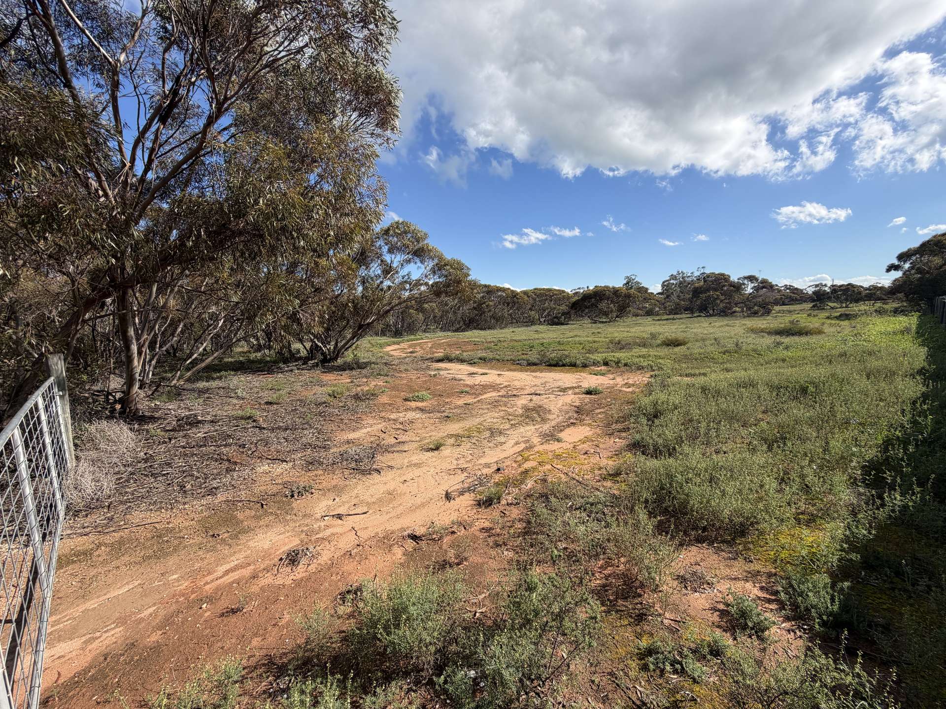 54 Sharrock Street, Murrayville For Sale by Farmbuy.com - image 5