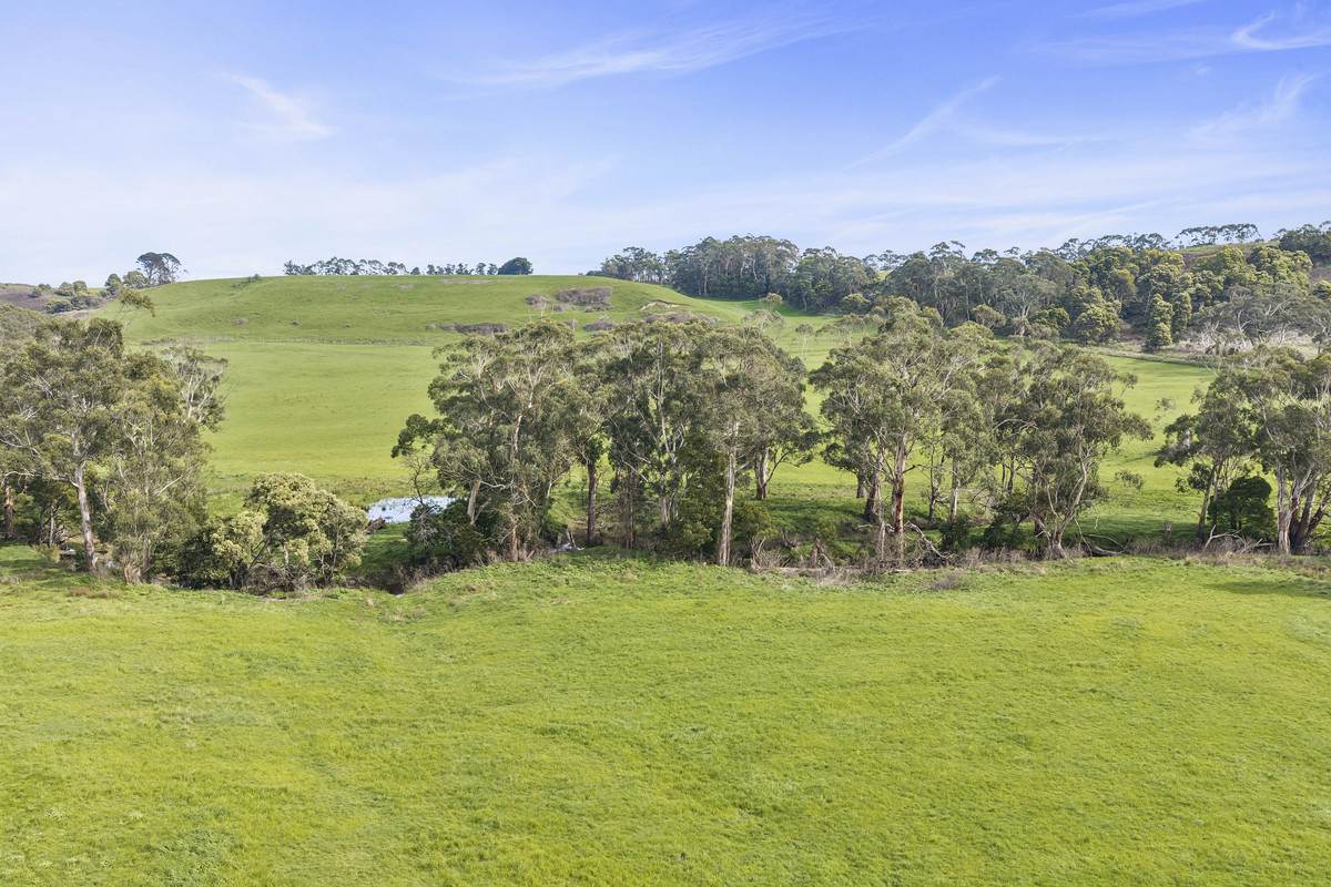 Rowes Road North, Scotts Creek For Sale by Farmbuy.com - image 9