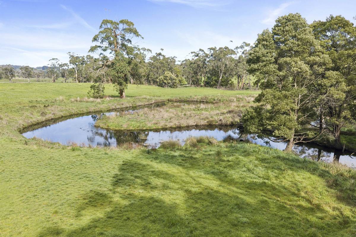 Rowes Road North, Scotts Creek For Sale by Farmbuy.com - image 2