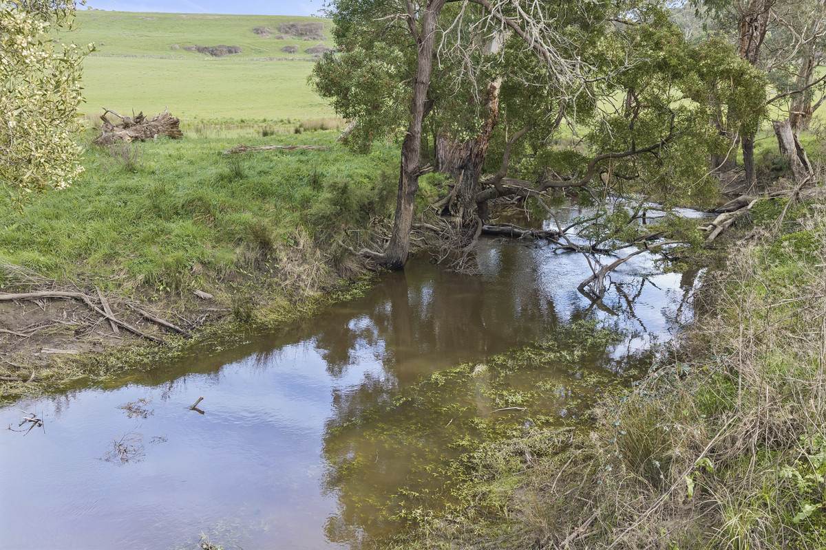 Rowes Road North, Scotts Creek For Sale by Farmbuy.com - image 6