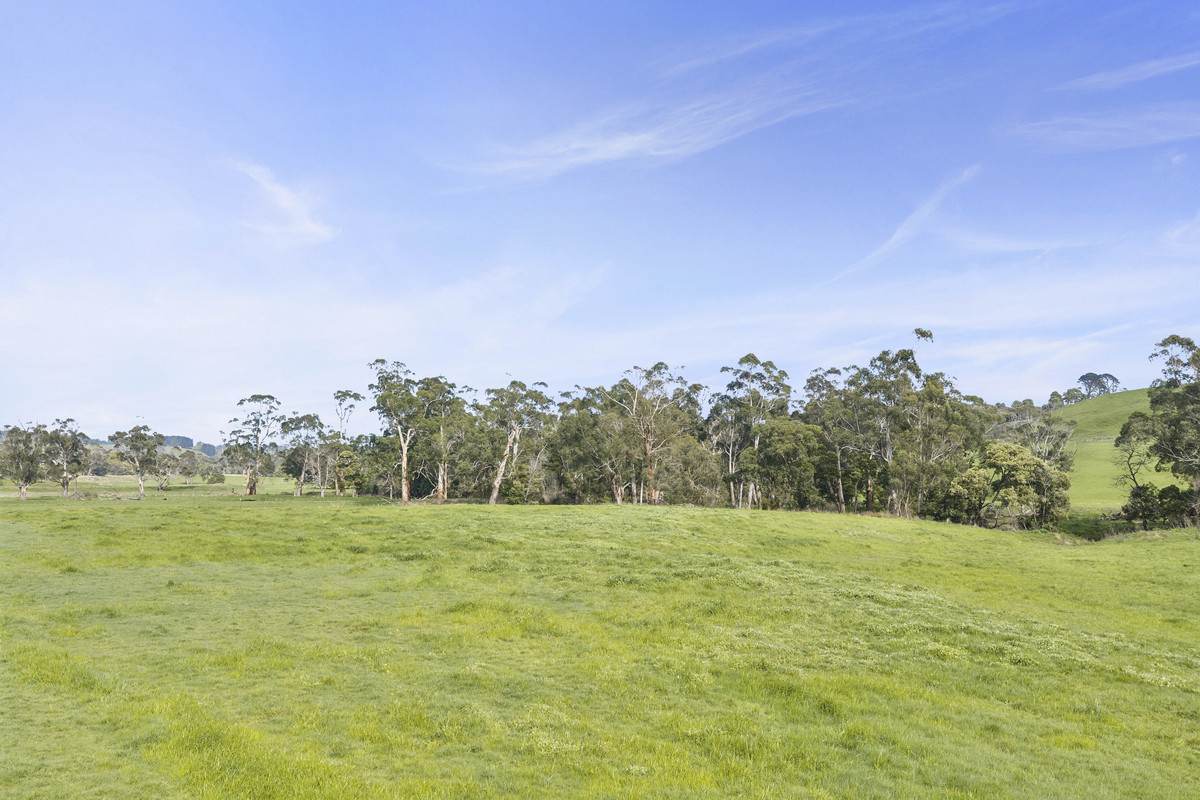 Rowes Road North, Scotts Creek For Sale by Farmbuy.com - image 7