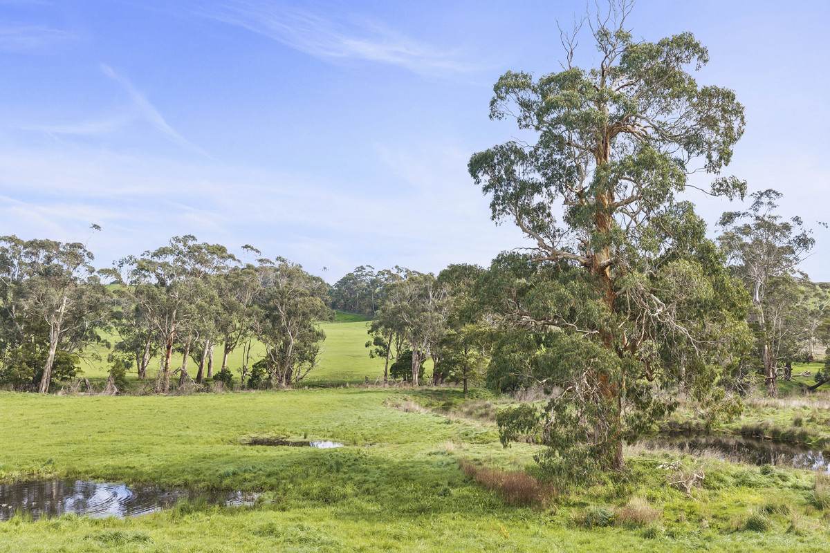 Rowes Road North, Scotts Creek For Sale by Farmbuy.com - image 8