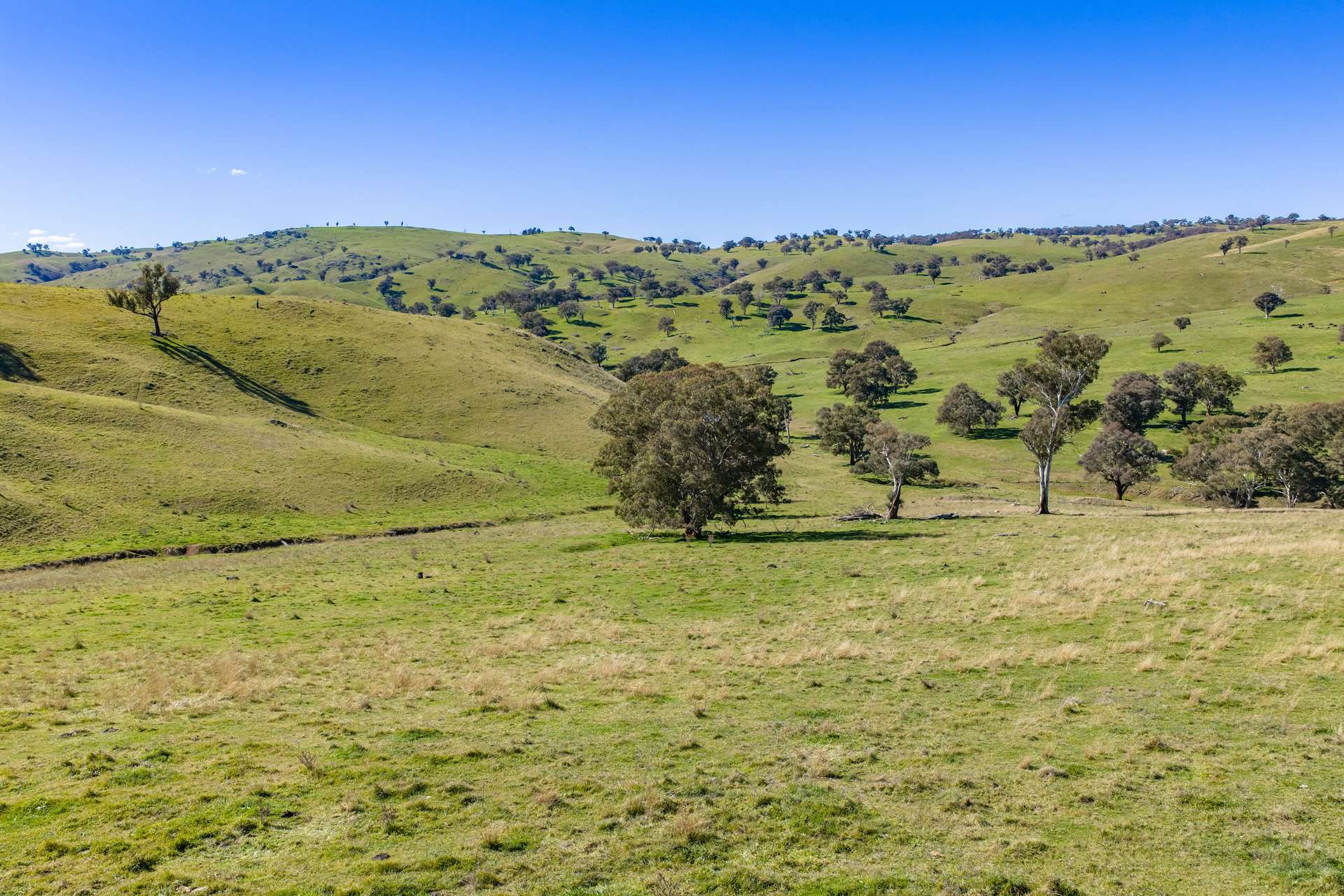 376 Boondaroo Road, Mandurama For Sale by Farmbuy.com - image 8