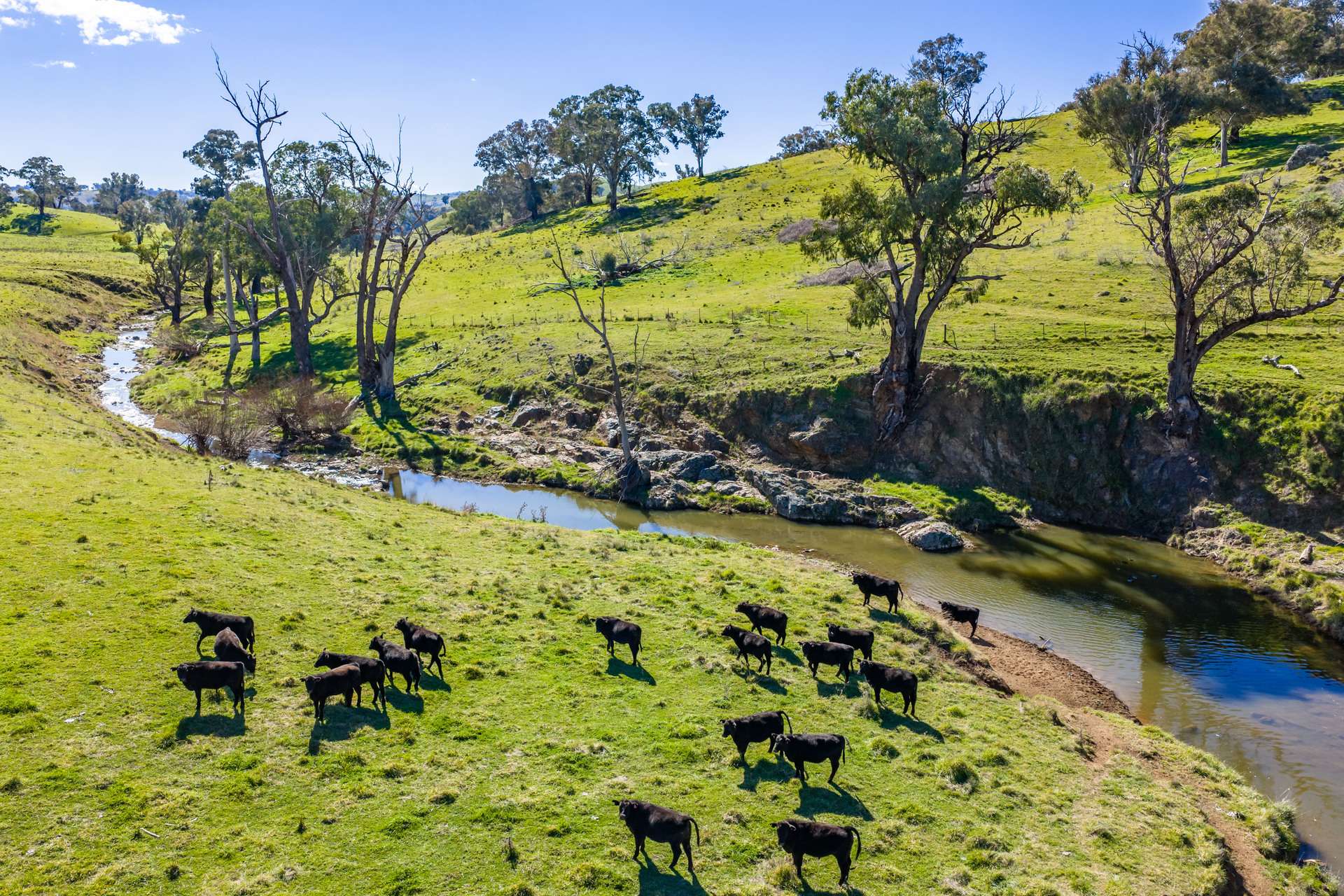376 Boondaroo Road, Mandurama For Sale by Farmbuy.com - image 2