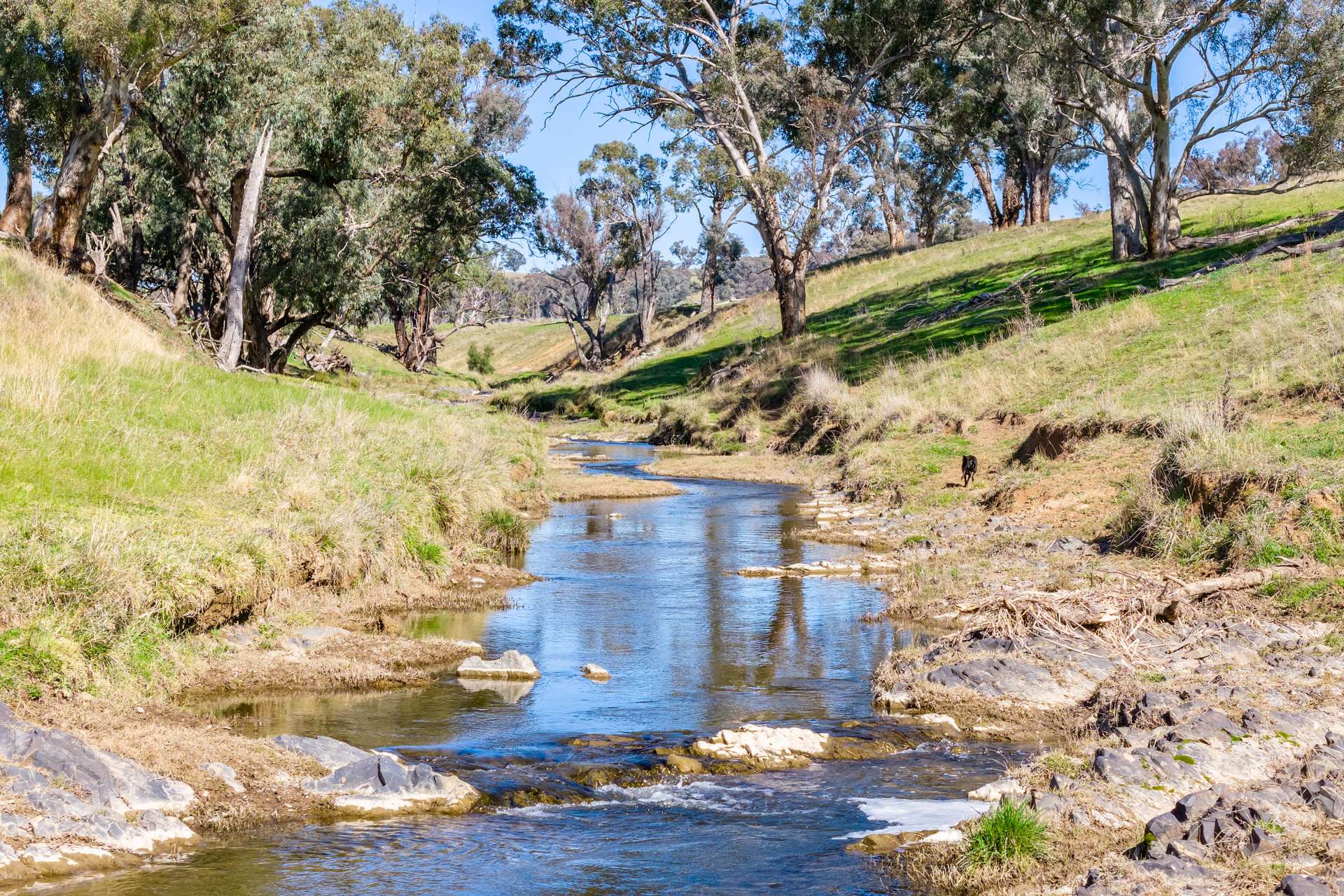 376 Boondaroo Road, Mandurama For Sale by Farmbuy.com - image 10