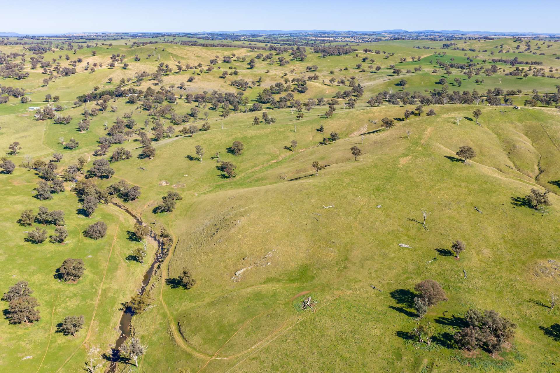 376 Boondaroo Road, Mandurama For Sale by Farmbuy.com - image 7