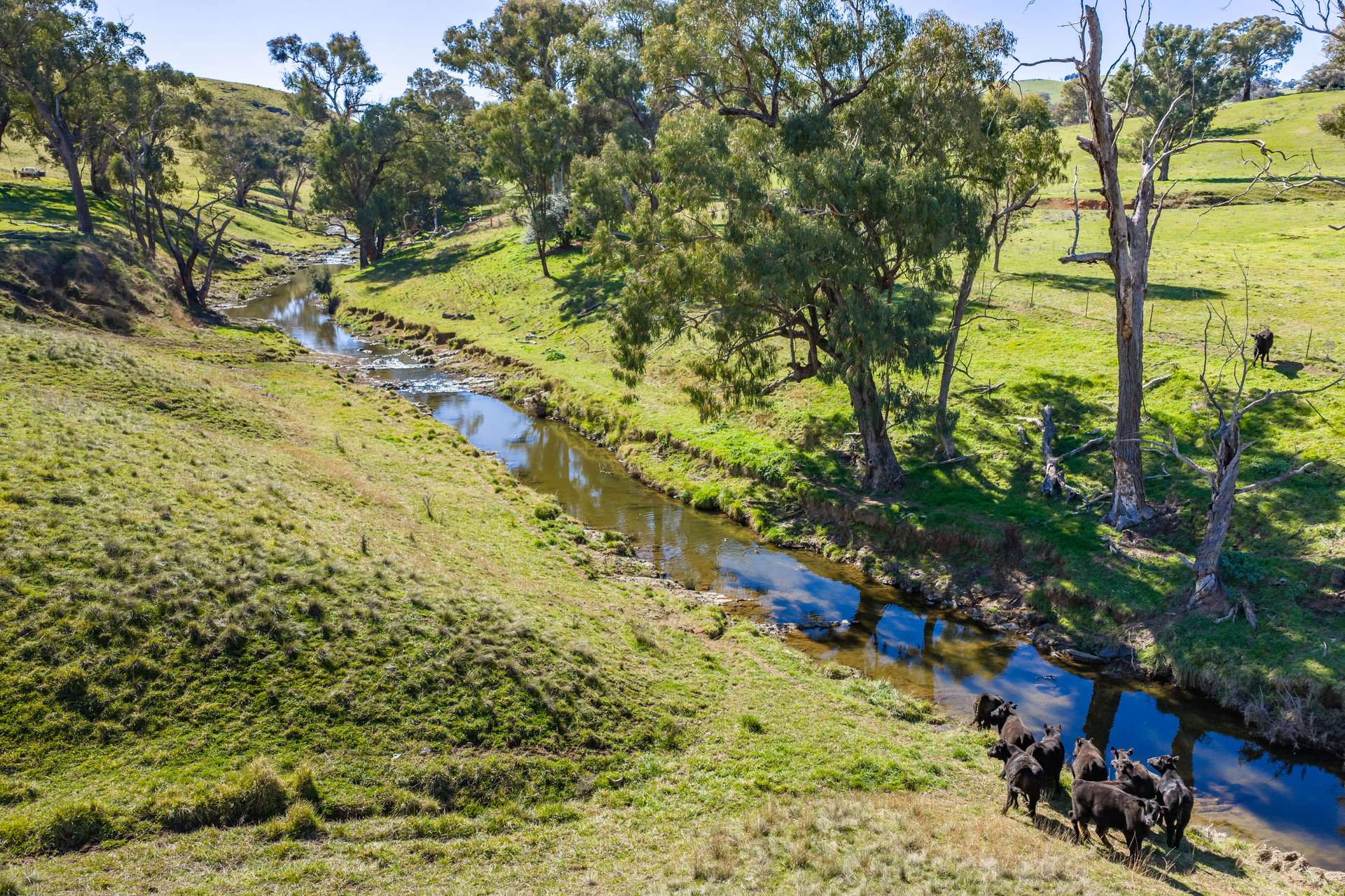 376 Boondaroo Road, Mandurama For Sale by Farmbuy.com - image 9