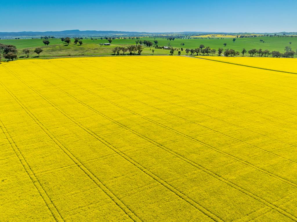 'Smiths' 5171 Cargo Road, Canowindra NSW 2804