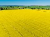 'Smiths' 5171 Cargo Road, Canowindra Auction by Elders Real Estate Emms Mooney