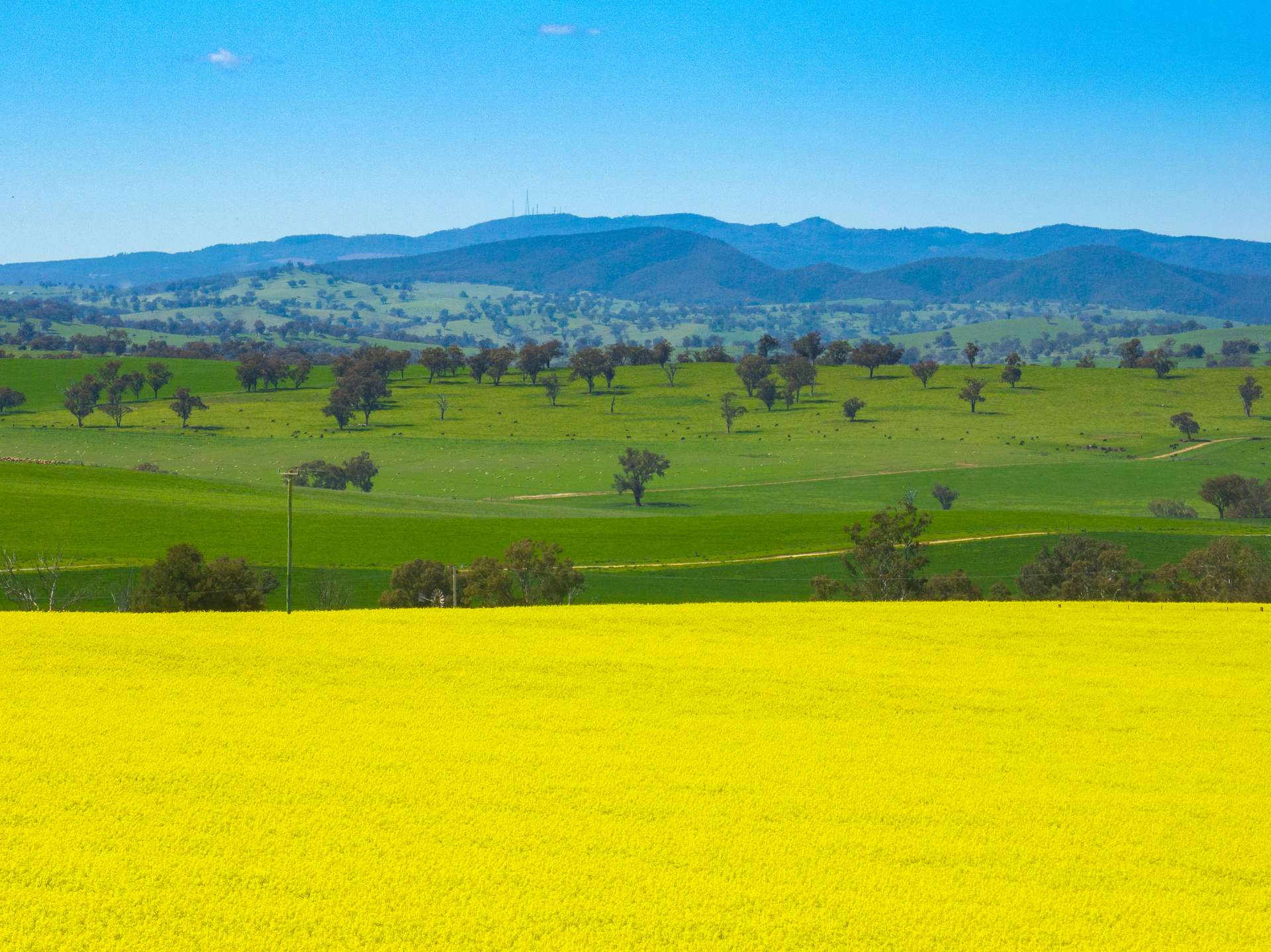 'Smiths' 5171 Cargo Road, Canowindra Auction by Farmbuy.com - image 6