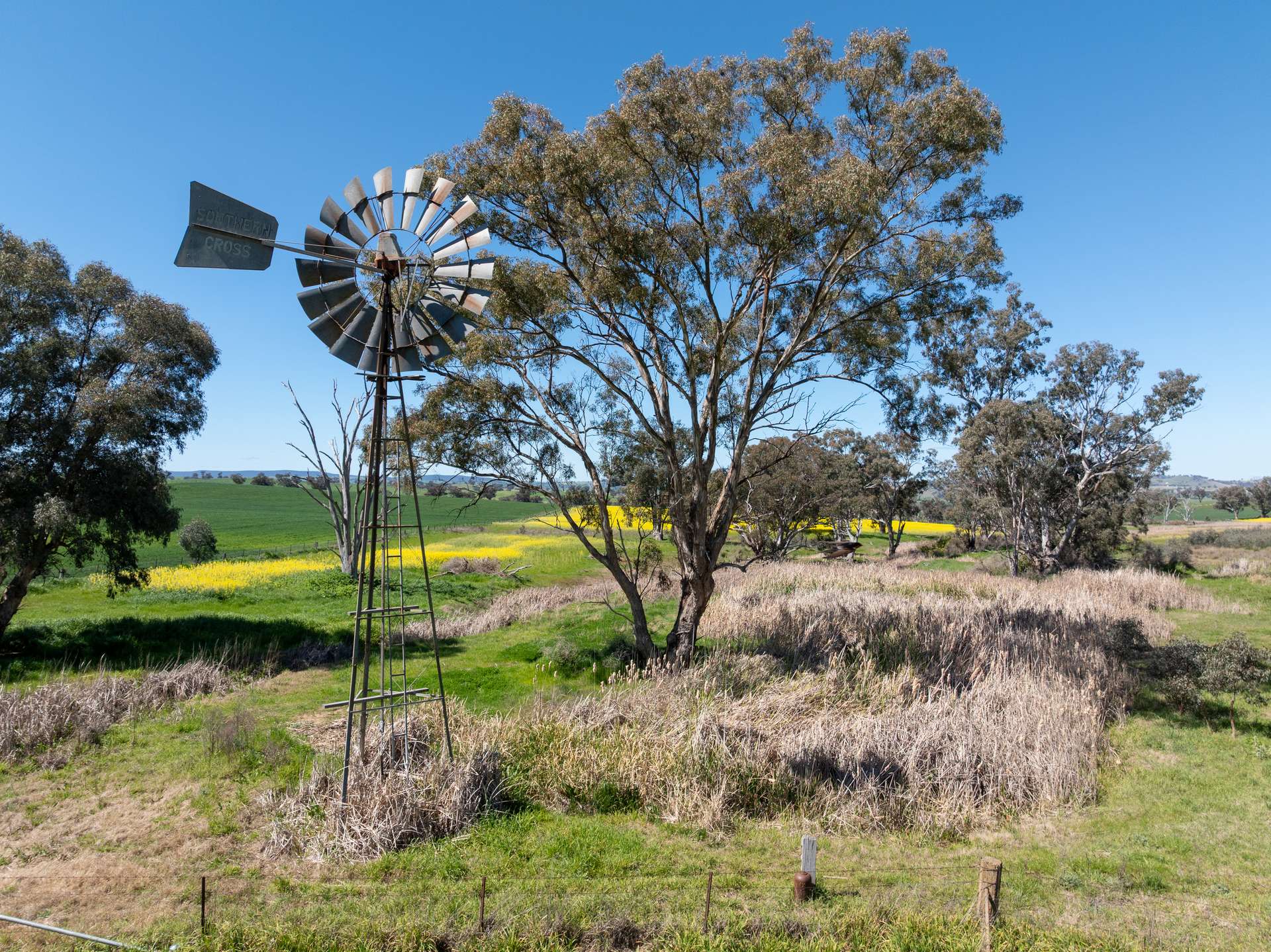 'Smiths' 5171 Cargo Road, Canowindra Auction by Farmbuy.com - image 9
