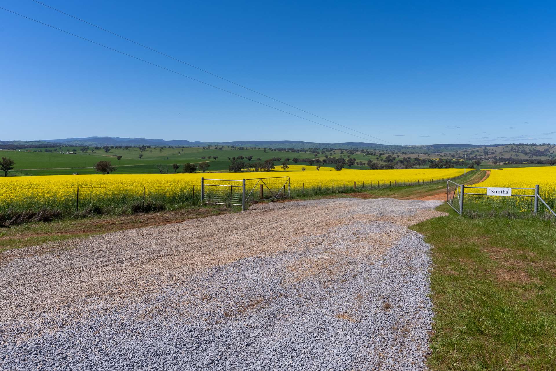 'Smiths' 5171 Cargo Road, Canowindra Auction by Farmbuy.com - image 4