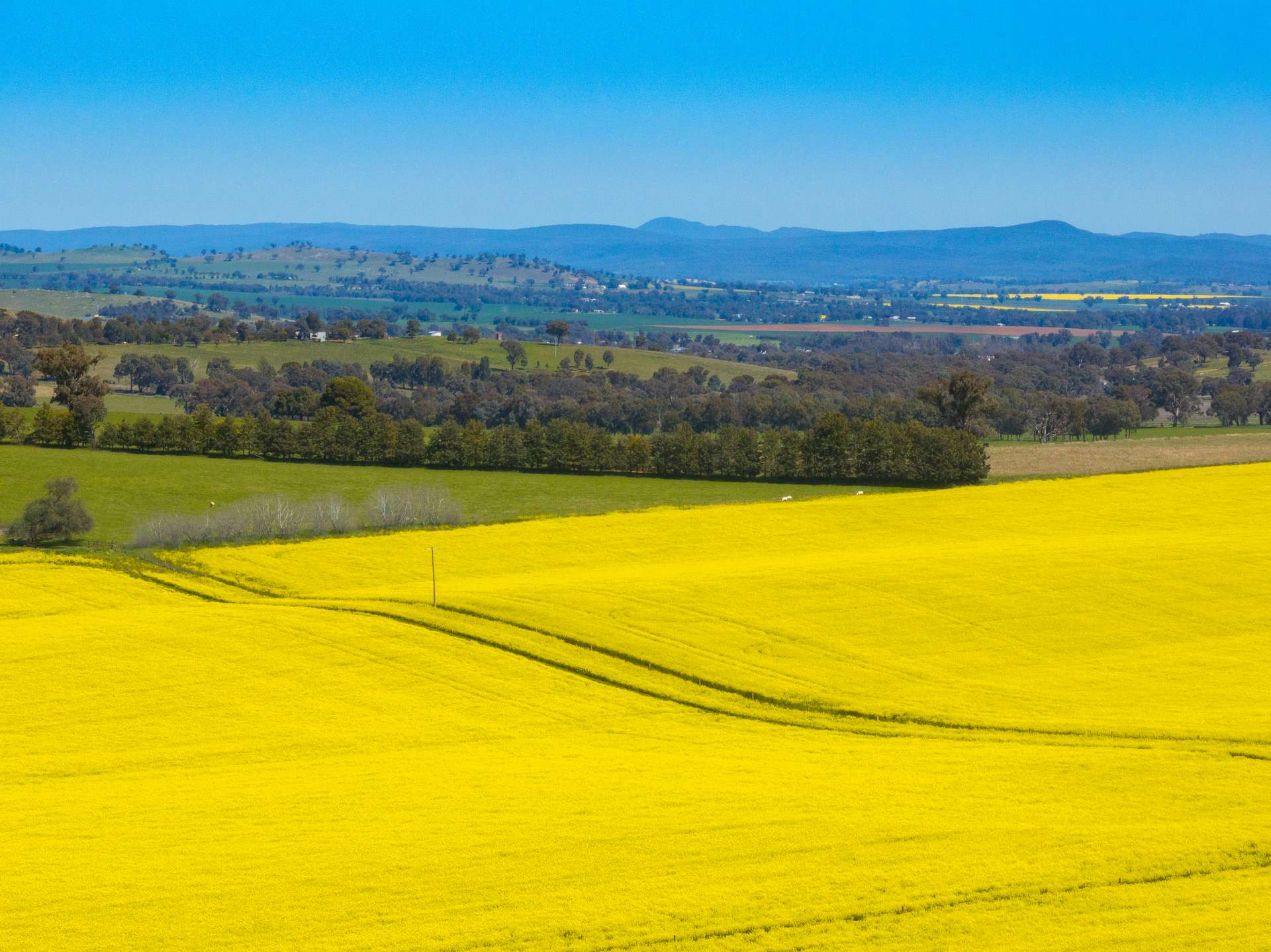 'Smiths' 5171 Cargo Road, Canowindra Auction by Farmbuy.com - image 8
