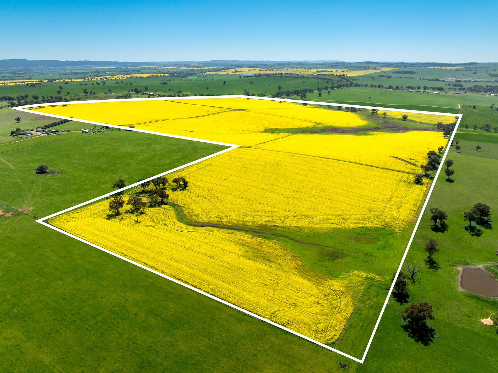 'Smiths' 5171 Cargo Road, Canowindra Auction by Farmbuy.com - image 5