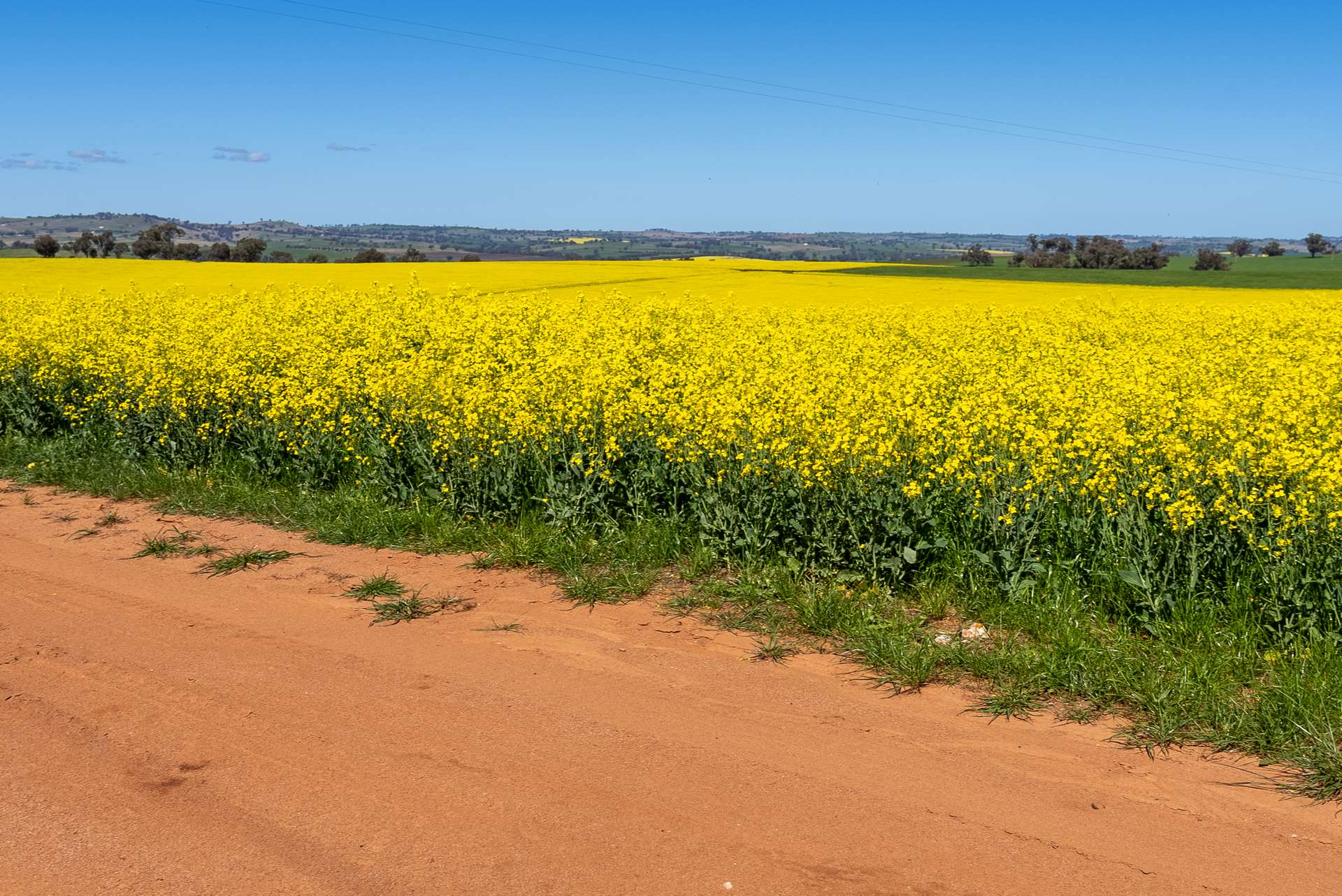 'Smiths' 5171 Cargo Road, Canowindra Auction by Farmbuy.com - image 2