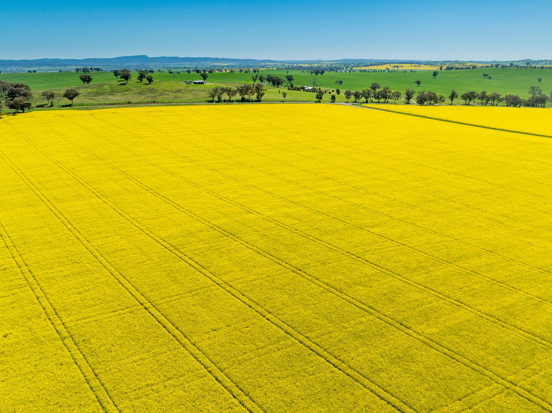 'Smiths' 5171 Cargo Road, Canowindra Auction by Farmbuy.com - image 1