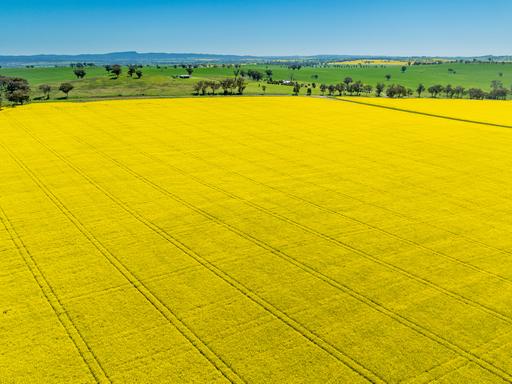 'Smiths' 5171 Cargo Road, Canowindra NSW 2804