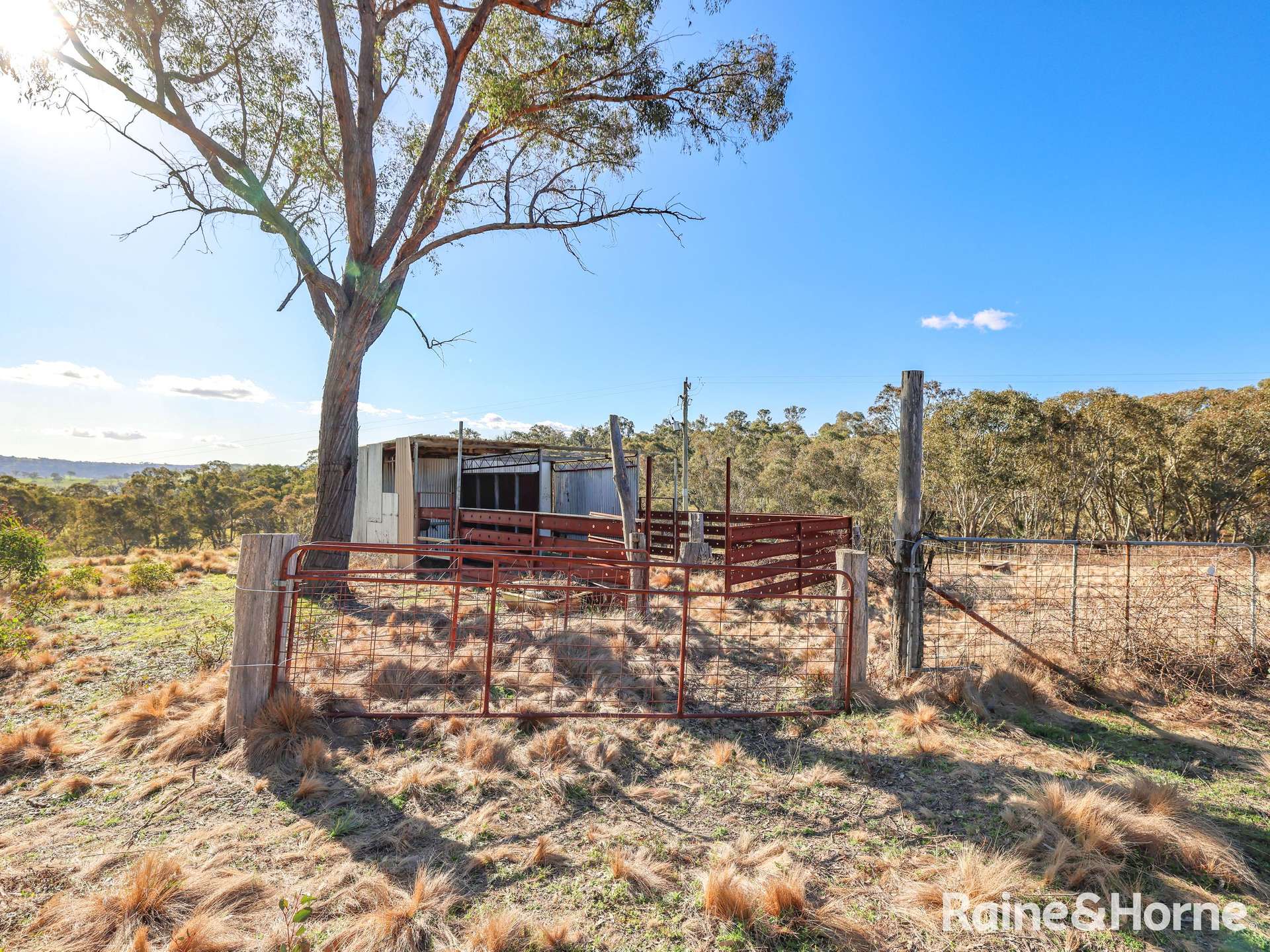 151 Pine Ridge Road, Rock Forest For Sale by Farmbuy.com - image 20