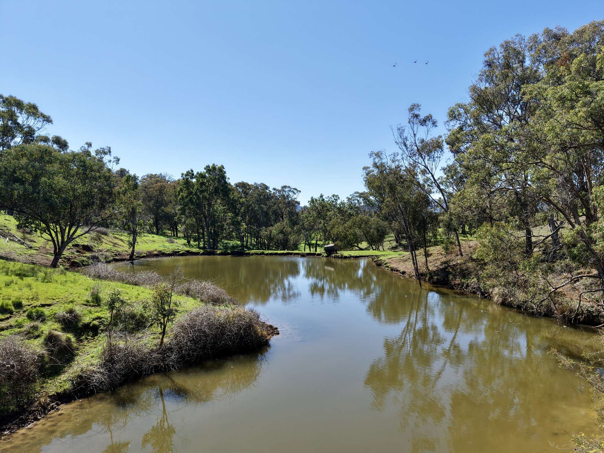 "Dulverton" & "Yeramba" Fullers Lane, Wallabadah For Sale by Farmbuy.com - image 4