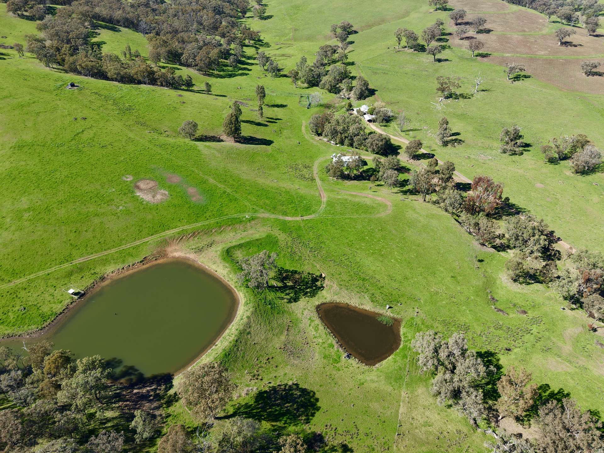 "Dulverton" & "Yeramba" Fullers Lane, Wallabadah For Sale by Farmbuy.com - image 14