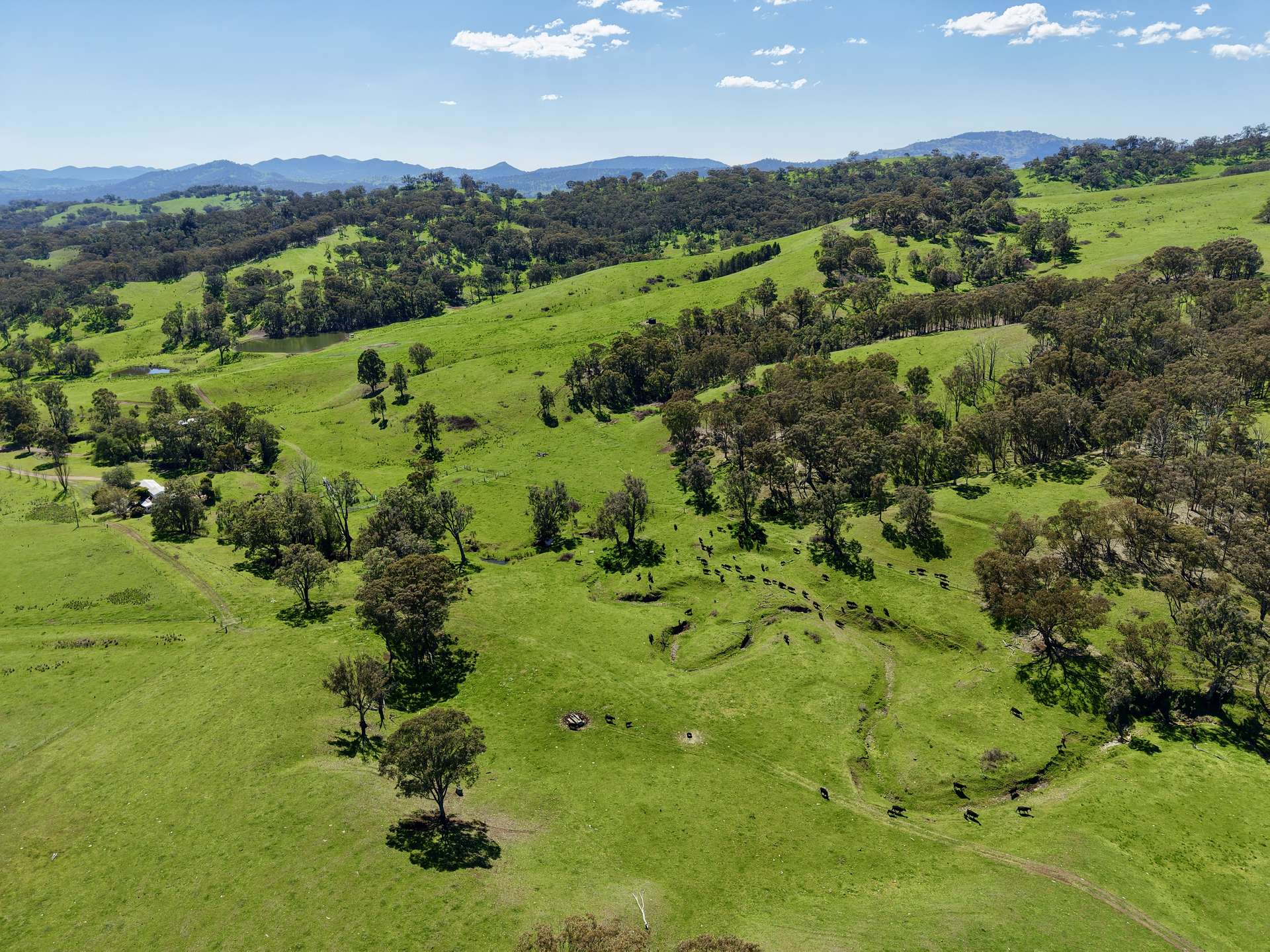"Dulverton" & "Yeramba" Fullers Lane, Wallabadah For Sale by Farmbuy.com - image 22